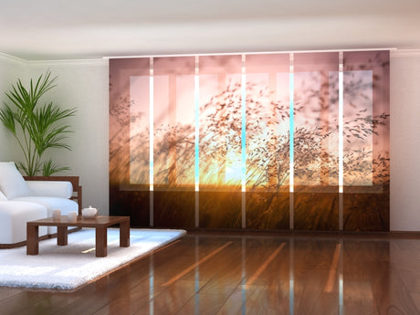 acquistare  — Foto