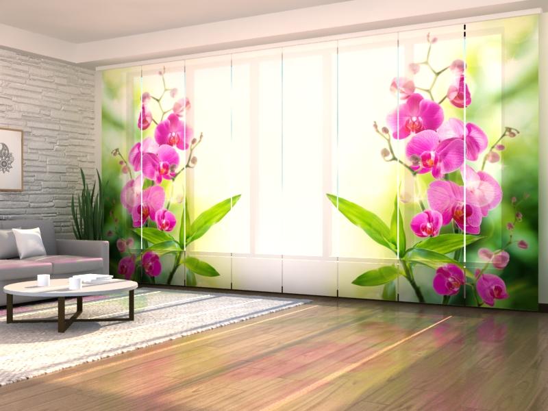 Set di 8 Tende a Pannello Colori dell'Estate acquistare Set di 8 Tende a Pannello Colori dell'Estate — Foto