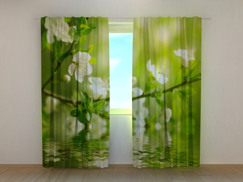 Foto Tende Melo vicino all'Acqua acquistare Foto Tende Melo vicino all'Acqua — Foto