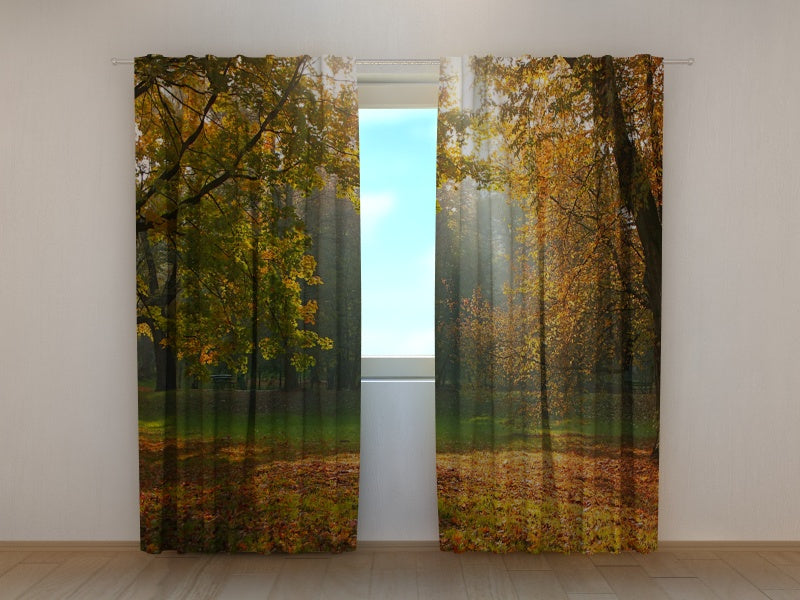 Foto Tende Autunno 5 acquistare Foto Tende Autunno 5 — Foto