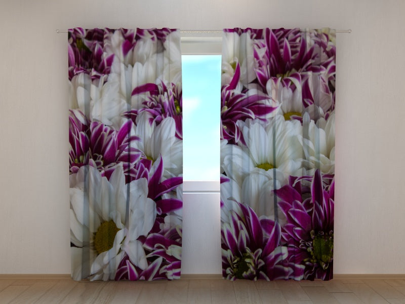 Foto Tende Crisantemo Autunnale acquistare Foto Tende Crisantemo Autunnale — Foto