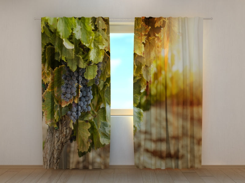 Foto Tende Vitigno Autunnale acquistare Foto Tende Vitigno Autunnale — Foto