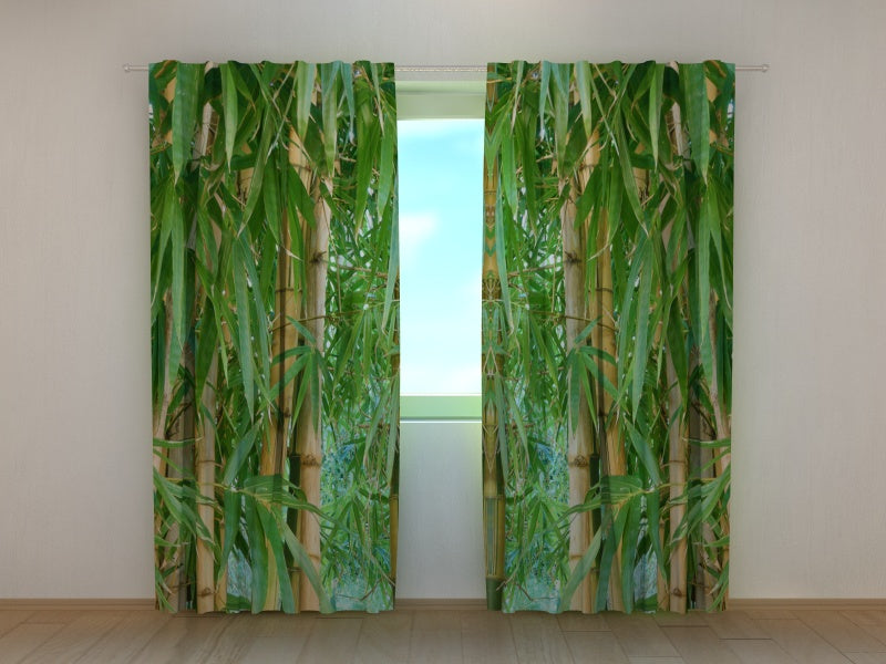 Foto Tende Foresta di Bambù acquistare Foto Tende Foresta di Bambù — Foto
