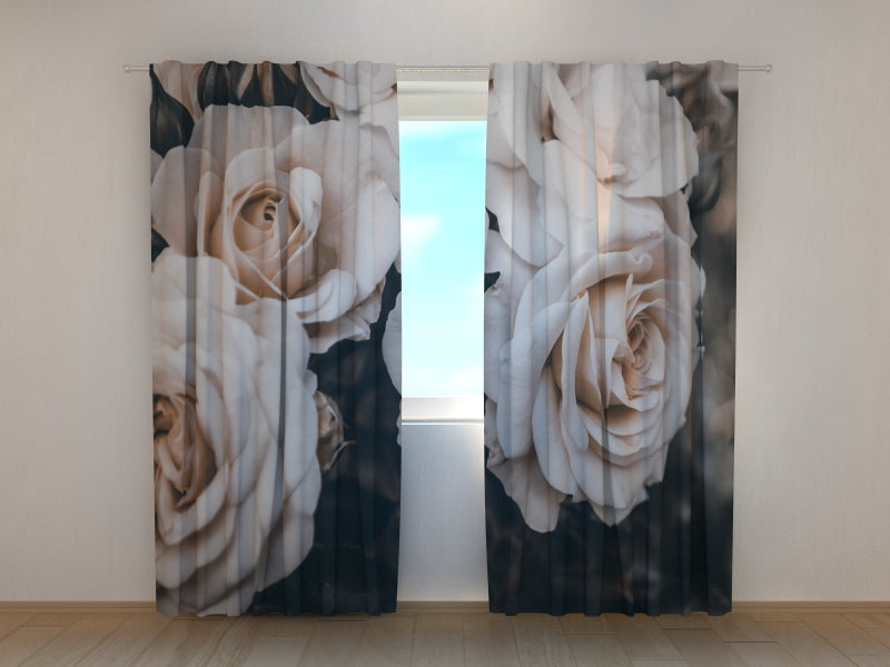 Foto Tende Belle Rose Pastello in Giardino acquistare Foto Tende Belle Rose Pastello in Giardino — Foto