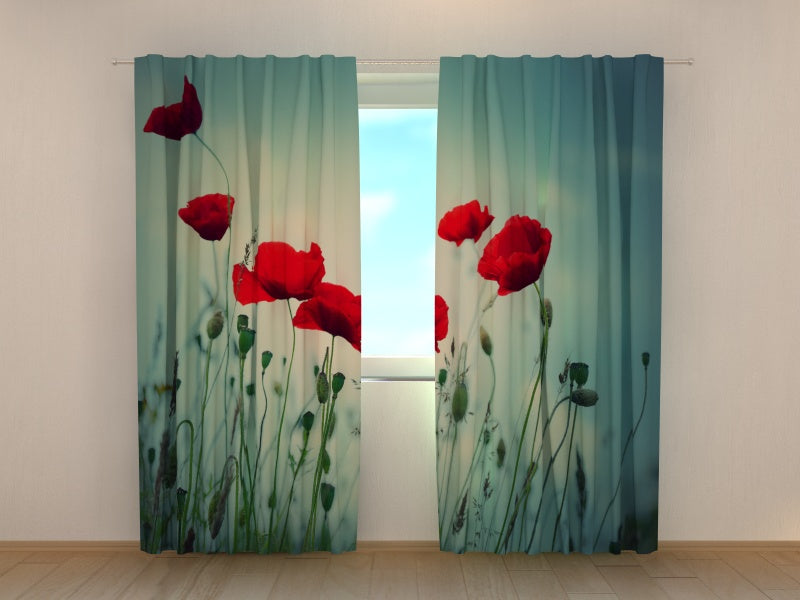 Foto Tende Bellezza Eterna acquistare Foto Tende Bellezza Eterna — Foto