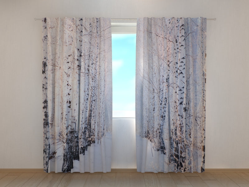 Foto Tende Foresta di Betulle nella Neve acquistare Foto Tende Foresta di Betulle nella Neve — Foto