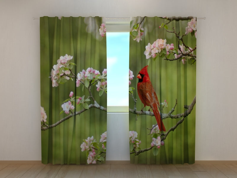 Foto Tende Cardinale Uccello su un Ramoscello di Primavera acquistare Foto Tende Cardinale Uccello su un Ramoscello di Primavera — Foto