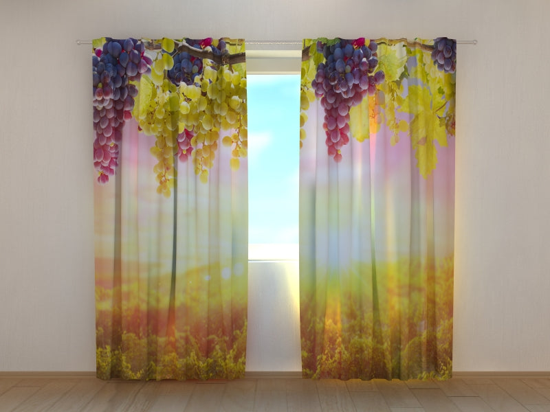 Foto Tende Grappoli d'Uva al Sole Estivo acquistare Foto Tende Grappoli d'Uva al Sole Estivo — Foto