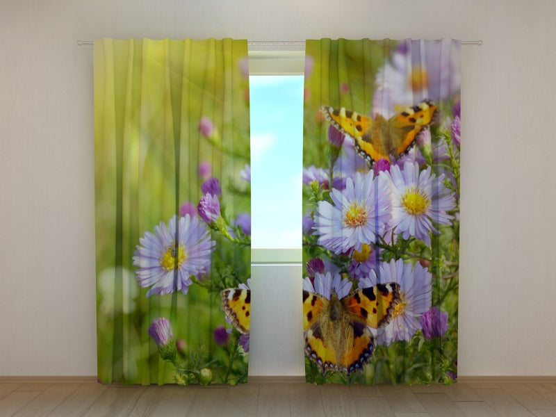 Foto Tende Farfalla acquistare Foto Tende Farfalla — Foto