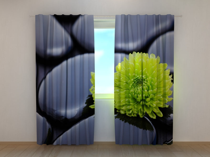 Foto Tende Armonia di Crisantemi acquistare Foto Tende Armonia di Crisantemi — Foto