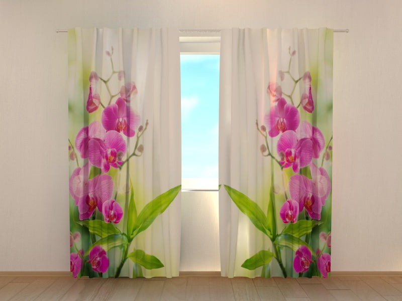 Foto Tende Colori dell'Estate acquistare Foto Tende Colori dell'Estate — Foto