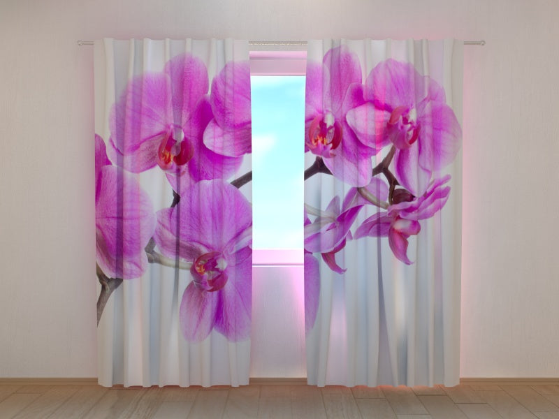 Foto Tende Felicità Cremisi acquistare Foto Tende Felicità Cremisi — Foto