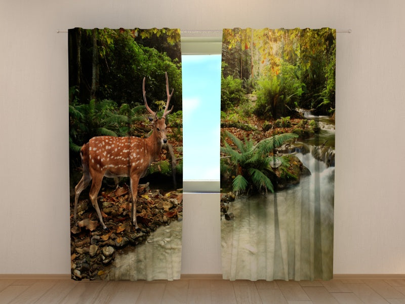 Foto Tende Cervo acquistare Foto Tende Cervo — Foto
