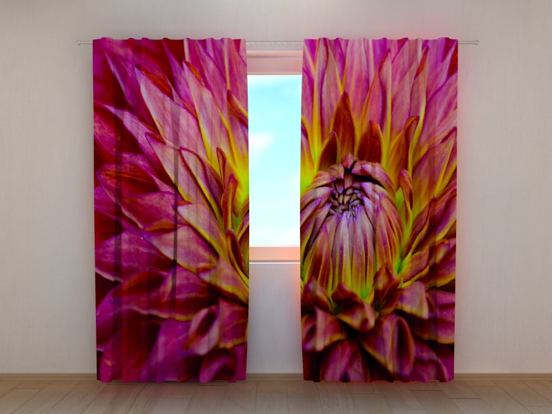 Foto Tende Delicato Fiore Dalia acquistare Foto Tende Delicato Fiore Dalia — Foto