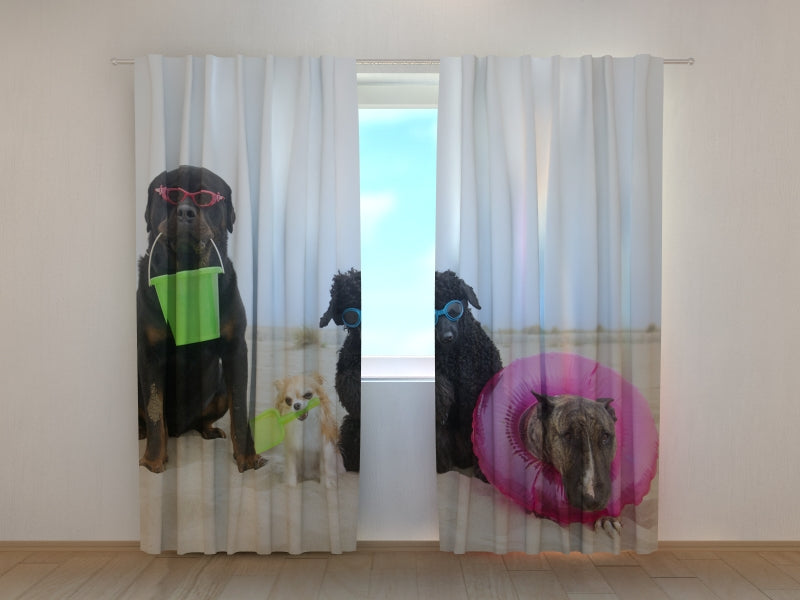 Foto Tende Cani in Appoggio su una Spiaggia acquistare Foto Tende Cani in Appoggio su una Spiaggia — Foto