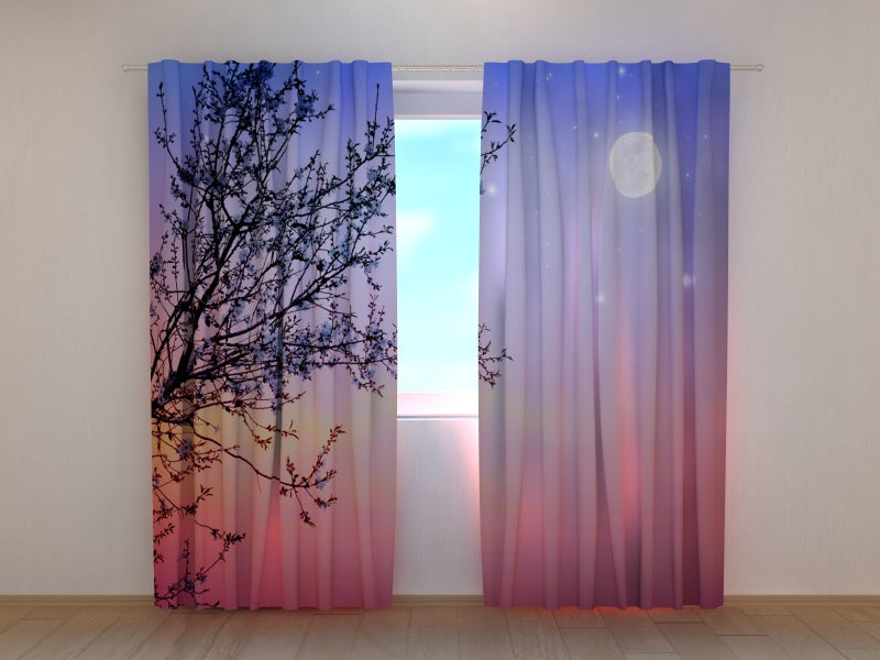 Foto Tende Mattina Presto acquistare Foto Tende Mattina Presto — Foto