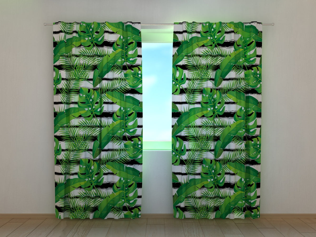 Foto Tende Piante Esotiche Tropicali acquistare Foto Tende Piante Esotiche Tropicali — Foto