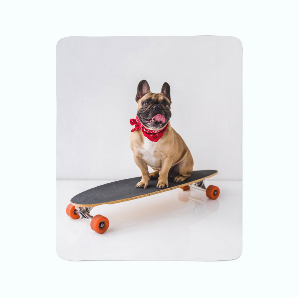 Coperta in Flanella Bulldog Francese su Skateboard acquistare Coperta in Flanella Bulldog Francese su Skateboard — Foto