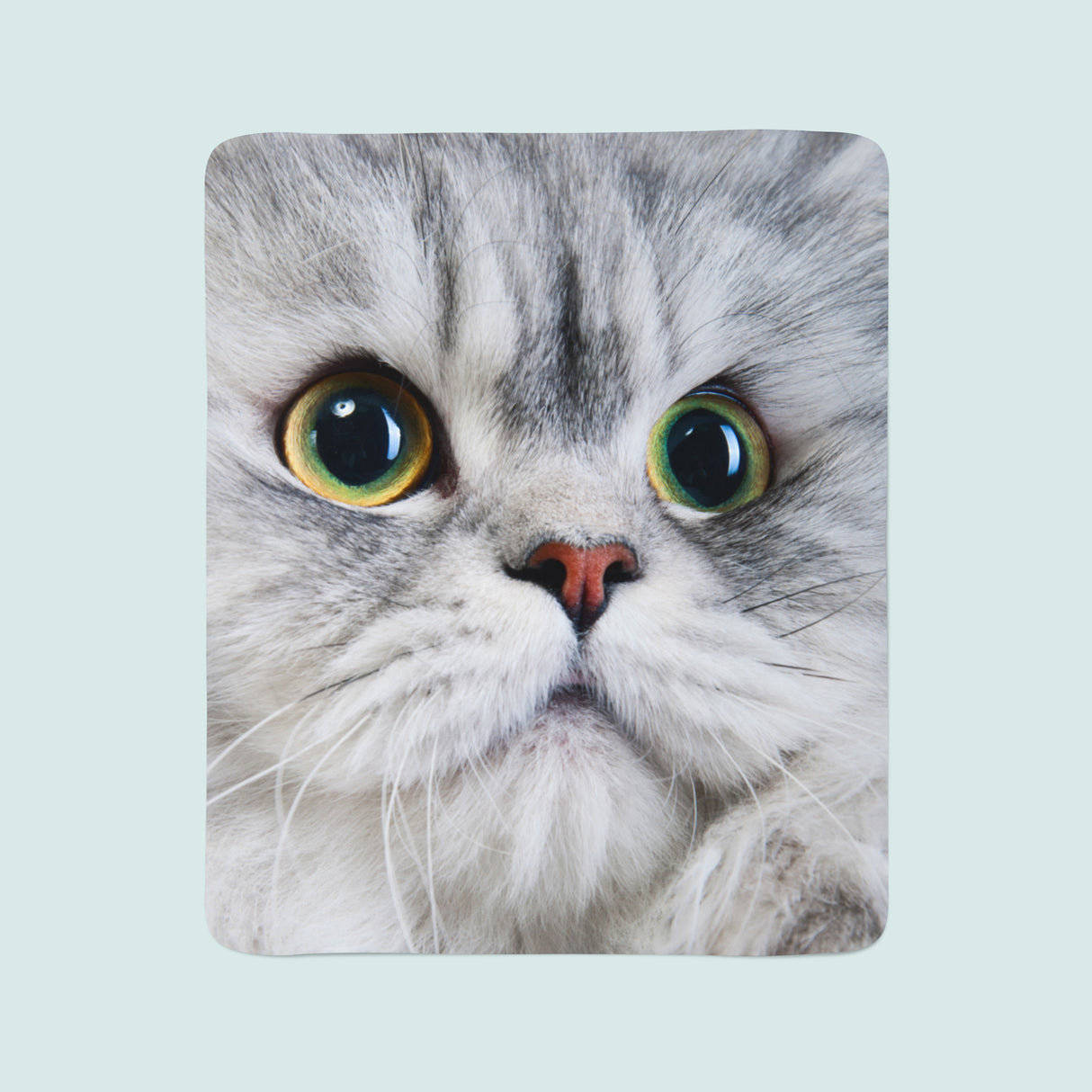 Coperta in Flanella Gatto Grigio acquistare Coperta in Flanella Gatto Grigio — Foto