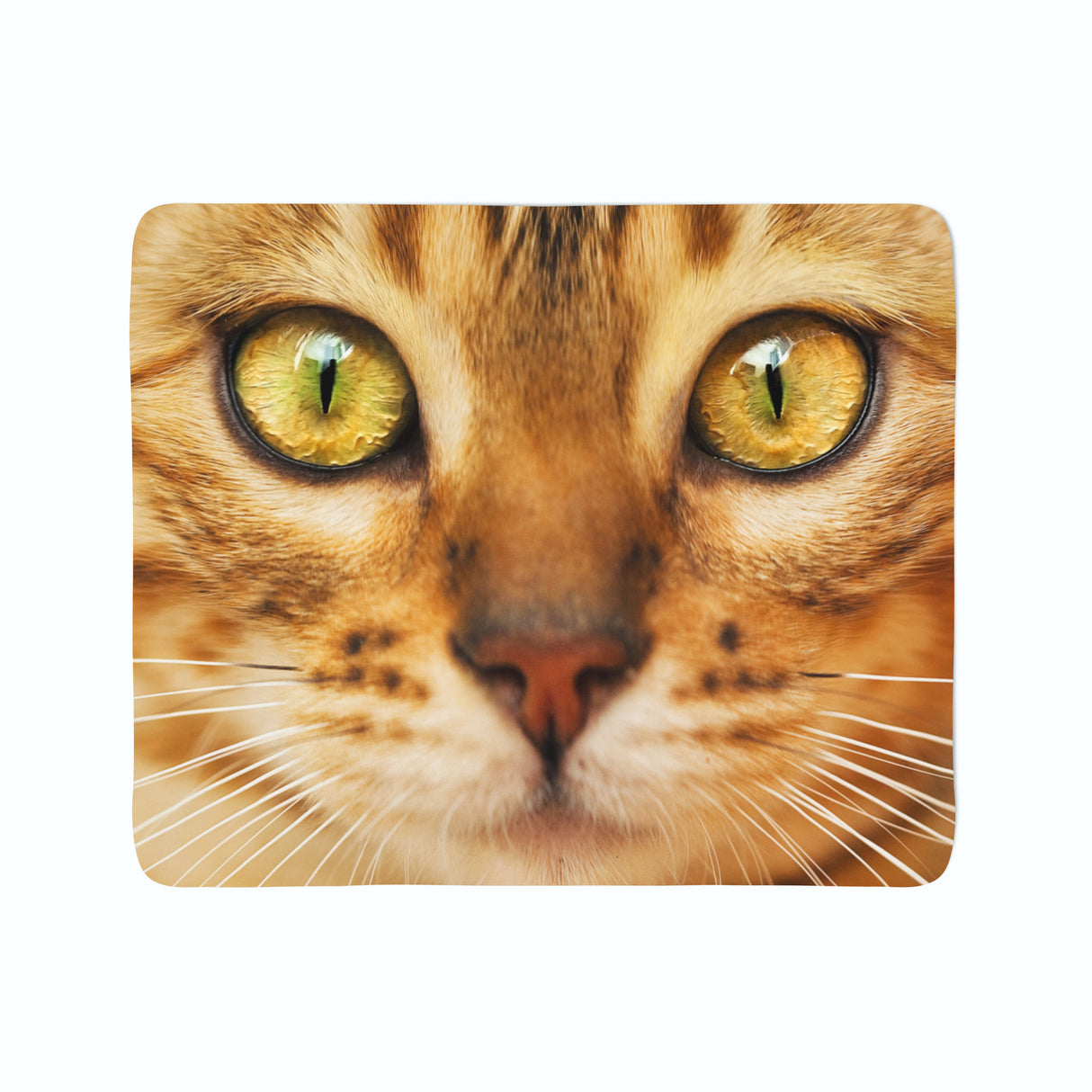 Coperta in Flanella Gatto Rosso acquistare Coperta in Flanella Gatto Rosso — Foto