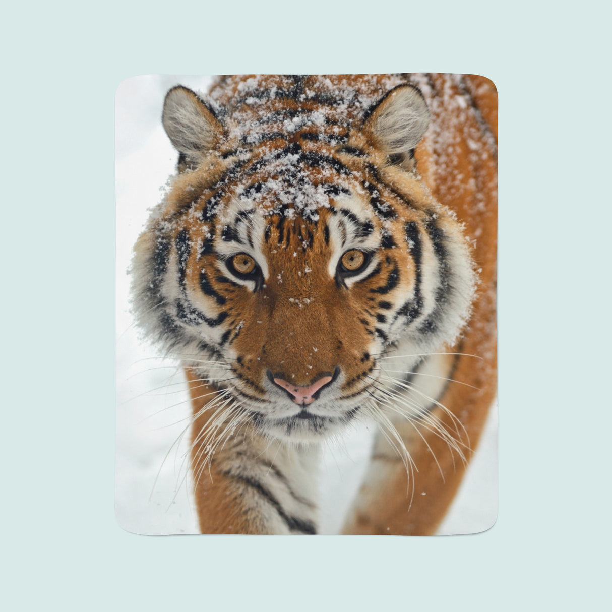 Coperta in Flanella Sguardo Sincero acquistare Coperta in Flanella Sguardo Sincero — Foto