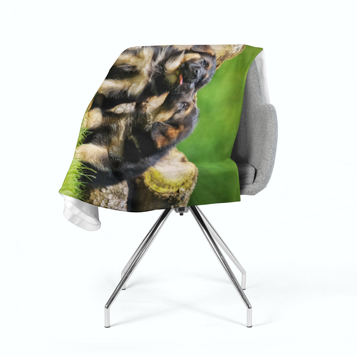 Coperta in Flanella Cuccioli di Pastore Tedesco Carini acquistare Coperta in Flanella Cuccioli di Pastore Tedesco Carini — Foto