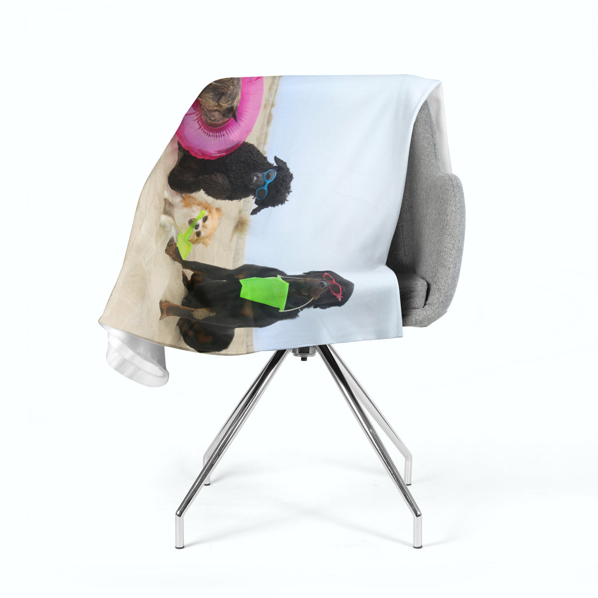 Coperta in Flanella Cani in Appoggio su una Spiaggia acquistare Coperta in Flanella Cani in Appoggio su una Spiaggia — Foto