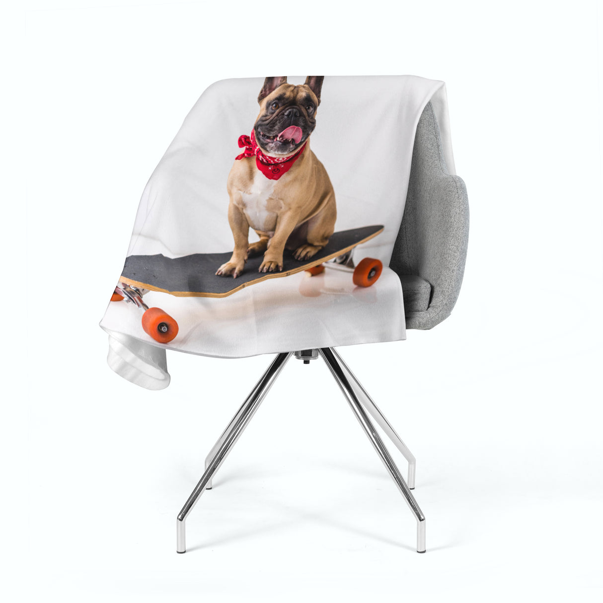 Coperta in Flanella Bulldog Francese su Skateboard acquistare Coperta in Flanella Bulldog Francese su Skateboard — Foto