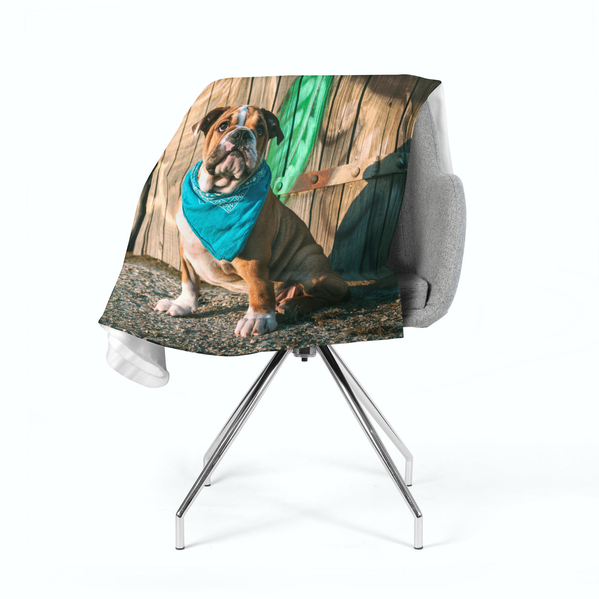 Coperta in Flanella Cucciolo di Bulldog Inglese Elegante acquistare Coperta in Flanella Cucciolo di Bulldog Inglese Elegante — Foto