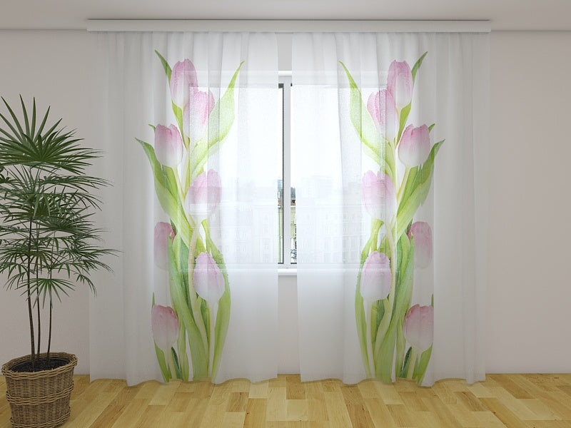 Foto Tende Meravigliosa Tulipani Rosa acquistare Foto Tende Meravigliosa Tulipani Rosa — Foto
