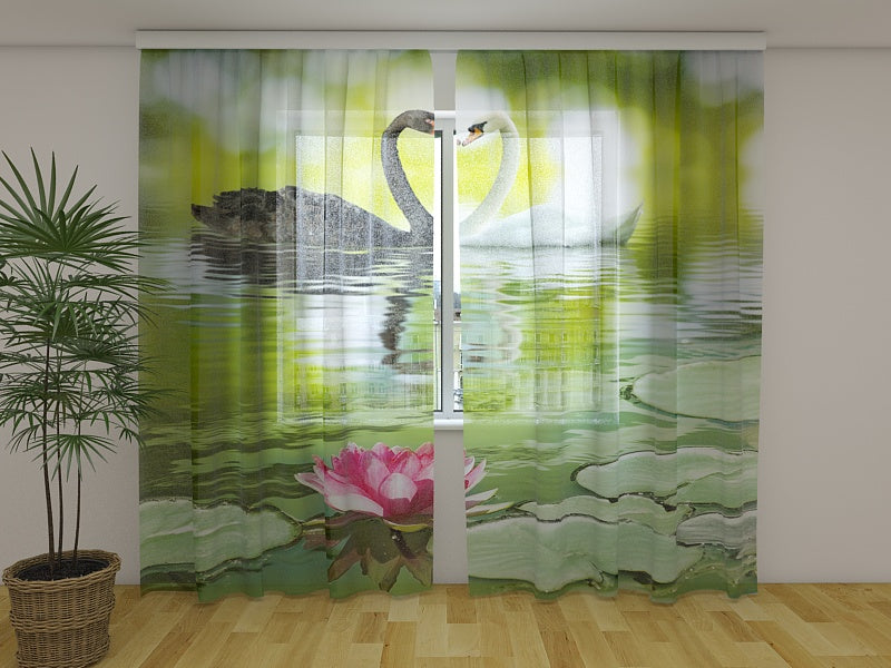 Foto Tende Cigni in Bianco e Nero acquistare Foto Tende Cigni in Bianco e Nero — Foto