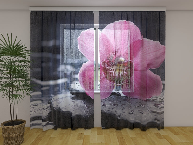 Foto Tende Tenerezza dell'Orchidea acquistare Foto Tende Tenerezza dell'Orchidea — Foto