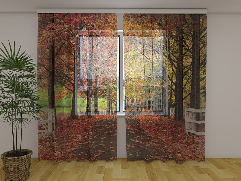 Foto Tende Autunno Rosso acquistare Foto Tende Autunno Rosso — Foto
