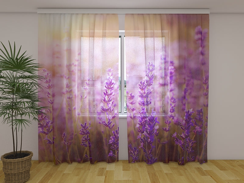 Foto Tende Tramonto su un Campo di Lavanda acquistare Foto Tende Tramonto su un Campo di Lavanda — Foto