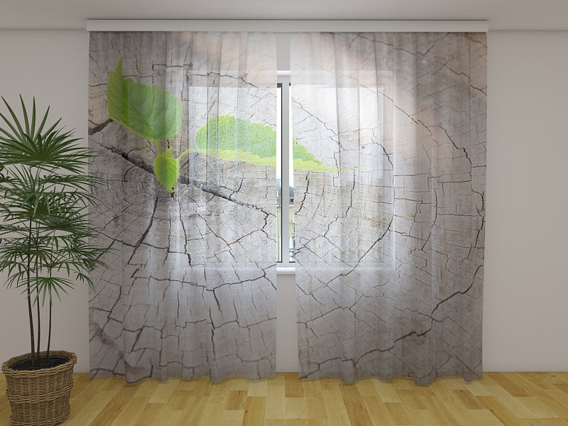 Foto Tende Tronco d'Albero e Germoglio acquistare Foto Tende Tronco d'Albero e Germoglio — Foto