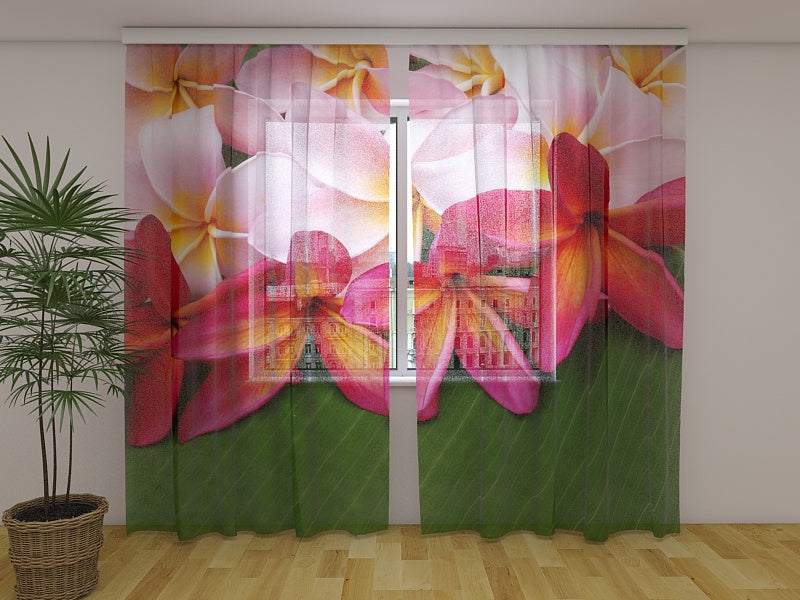 Foto Tende Fiori Tropicali 3 acquistare Foto Tende Fiori Tropicali 3 — Foto