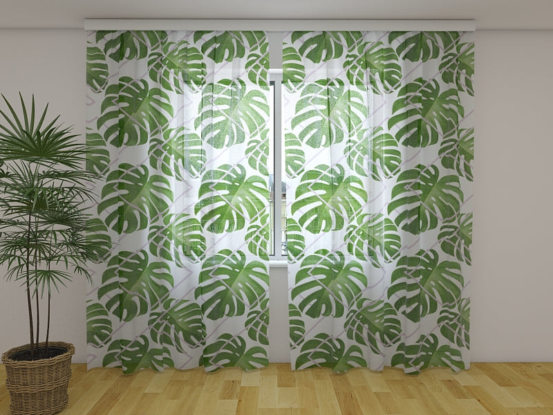 Foto Tende Foglie di Palma Tropicali acquistare Foto Tende Foglie di Palma Tropicali — Foto