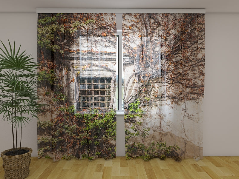 Foto Tende Magnifico Antico Luogo Verdeggiante acquistare Foto Tende Magnifico Antico Luogo Verdeggiante — Foto