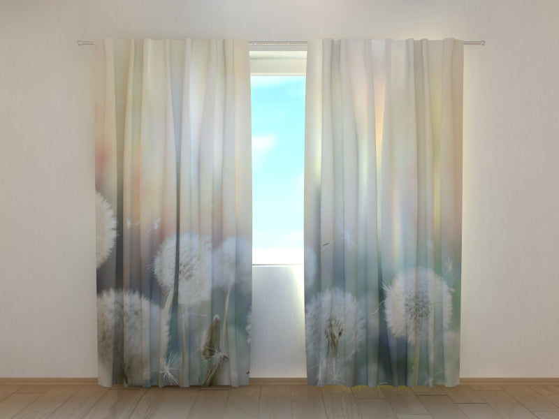 Foto Tende Campo di Denti di Leone al Tramonto acquistare Foto Tende Campo di Denti di Leone al Tramonto — Foto