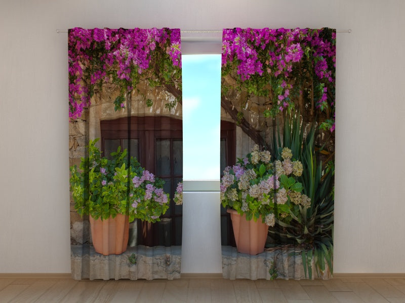 Foto Tende Fiori in Vaso acquistare Foto Tende Fiori in Vaso — Foto