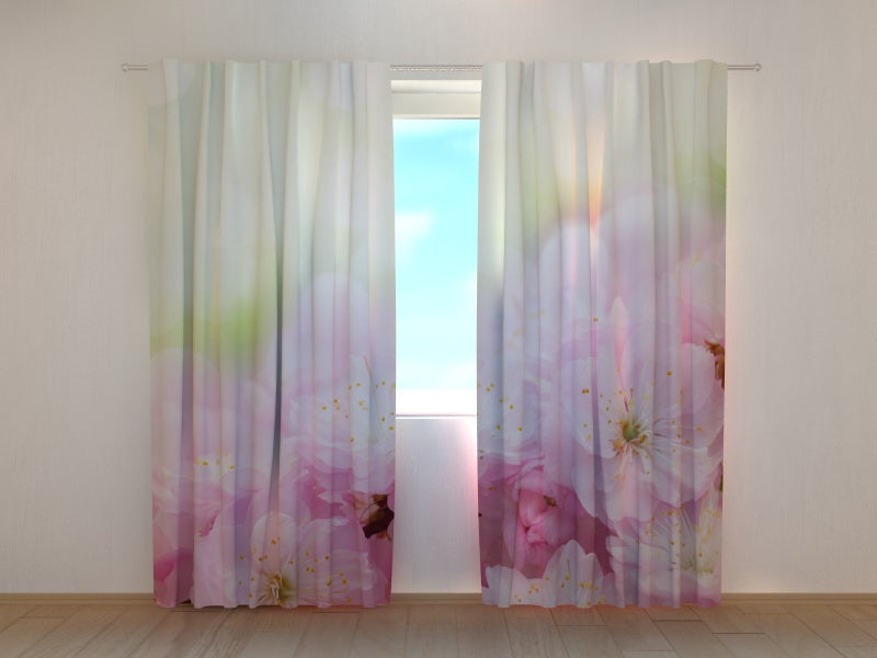 Foto Tende Fiori di Ciliegio Dolce acquistare Foto Tende Fiori di Ciliegio Dolce — Foto