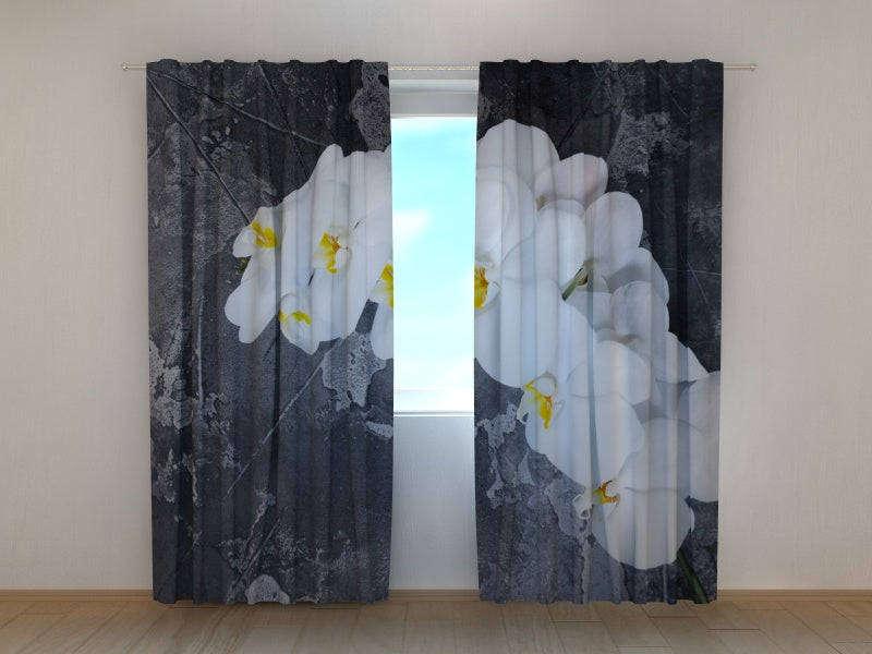 Foto Tende Orchidee Fresche su una Pietra acquistare Foto Tende Orchidee Fresche su una Pietra — Foto