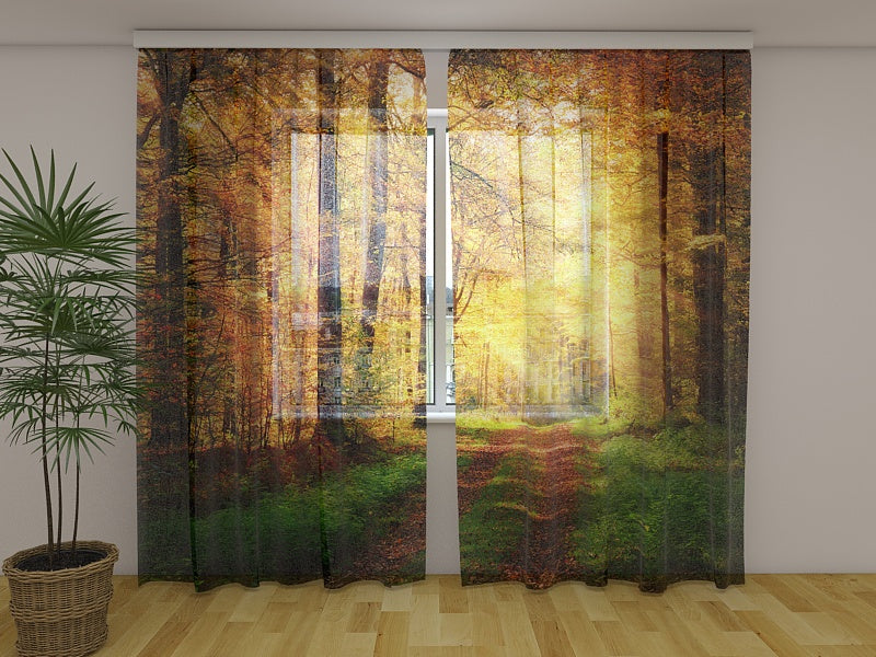 Foto Tende Strada Autunnale acquistare Foto Tende Strada Autunnale — Foto