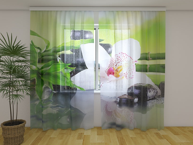 Foto Tende Rami di Bambù e Orchidea Bianca acquistare Foto Tende Rami di Bambù e Orchidea Bianca — Foto