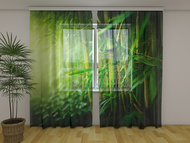 Foto Tende Foresta di Bambù 2 acquistare Foto Tende Foresta di Bambù 2 — Foto