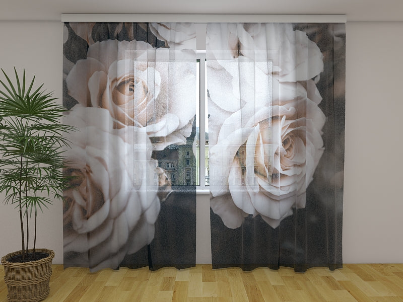 Foto Tende Belle Rose Pastello in Giardino acquistare Foto Tende Belle Rose Pastello in Giardino — Foto