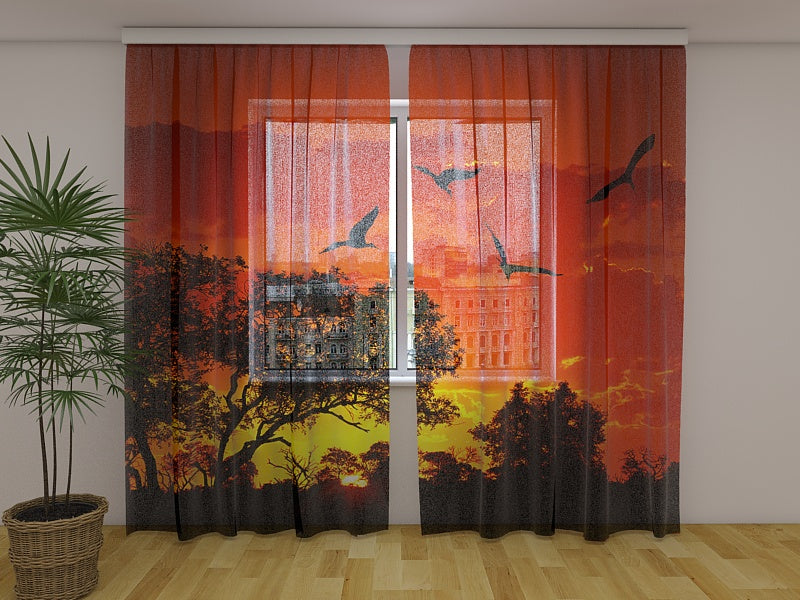 Foto Tende Grandi Ibis al Tramonto acquistare Foto Tende Grandi Ibis al Tramonto — Foto