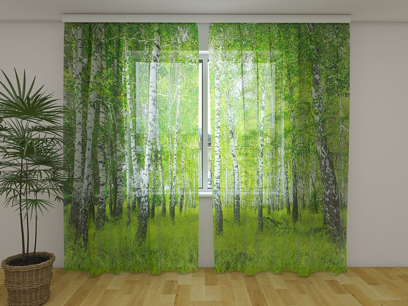 Foto Tende Foresta di Betulle acquistare Foto Tende Foresta di Betulle — Foto