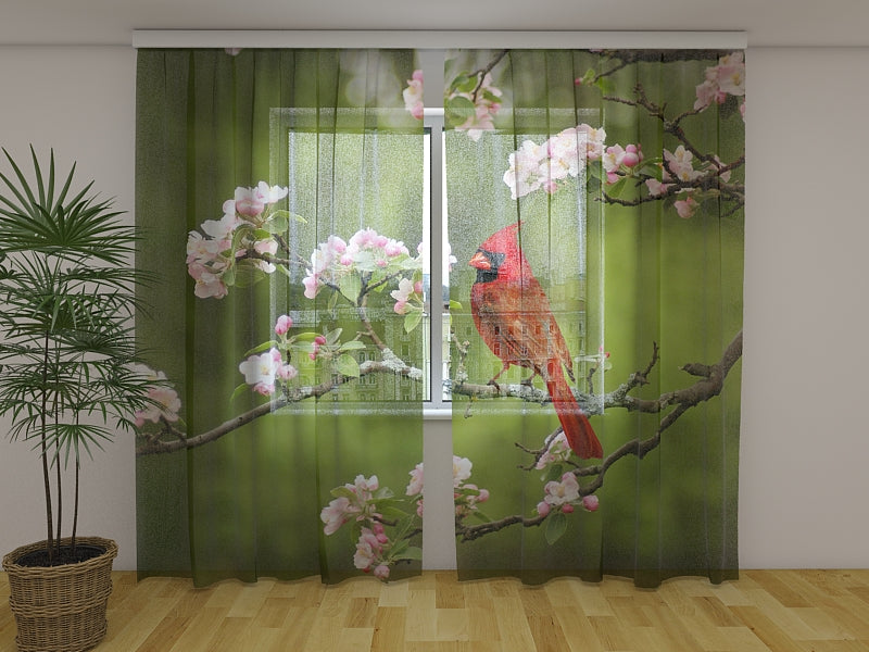 Foto Tende Cardinale Uccello su un Ramoscello di Primavera acquistare Foto Tende Cardinale Uccello su un Ramoscello di Primavera — Foto