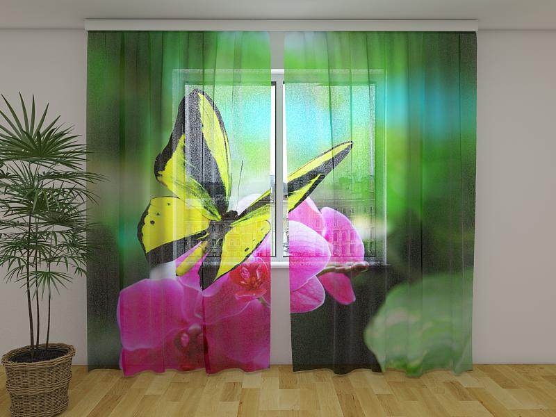 Foto Tende Colori Vibranti acquistare Foto Tende Colori Vibranti — Foto